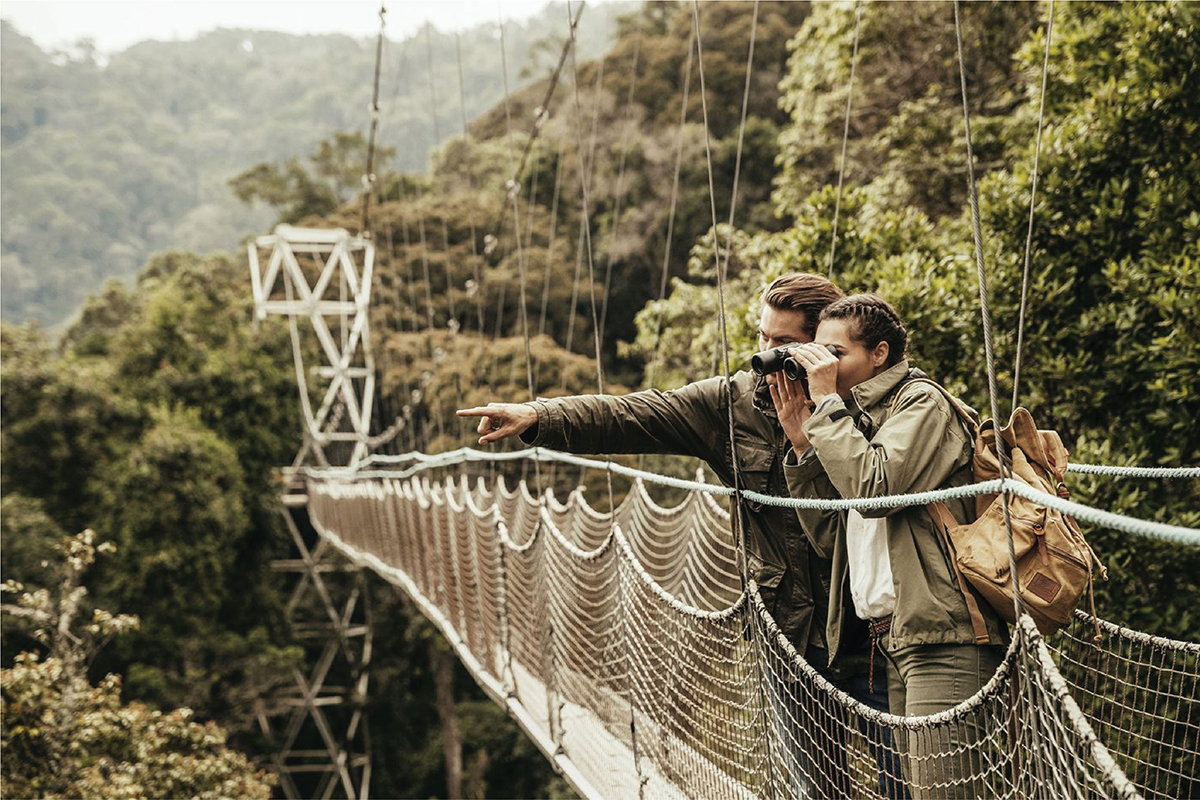 Nyungwe National Park